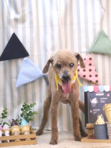 20250503ショコラくん